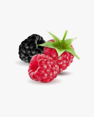 Fresh Blackberry