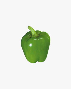 Green capsicum
