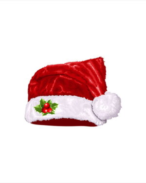 Santa Claus Cap