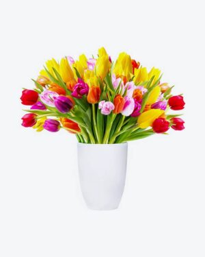 White stick hyacinth