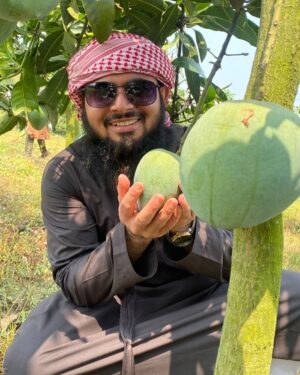 হিমসাগর আম