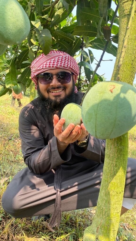 হিমসাগর আম